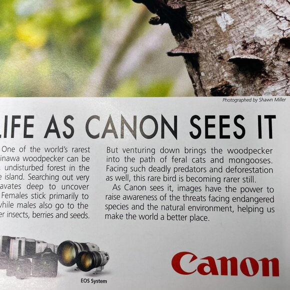 2015 Wildlife As Canon Sees It Print Ad Full Page Original u - Picture 3 of 6